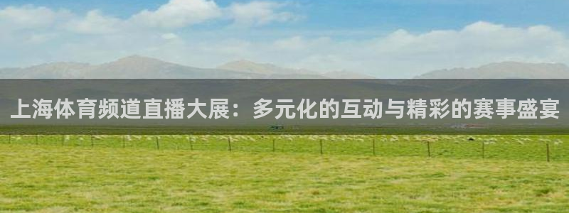 上海体育频道直播大展：多元化的互动与精彩的赛事盛宴