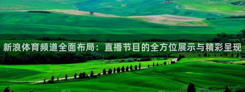 新浪体育频道全面布局：直播节目的全方位展示与精彩呈现