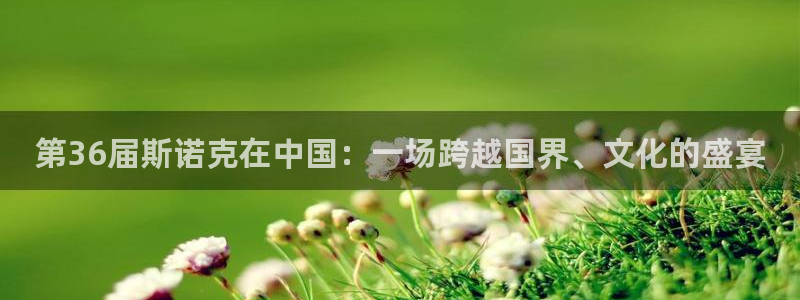 第36届斯诺克在中国：一场跨越国界、文化的盛宴