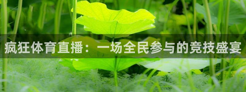 疯狂体育直播：一场全民参与的竞技盛宴