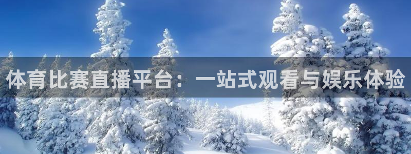 体育比赛直播平台：一站式观看与娱乐体验