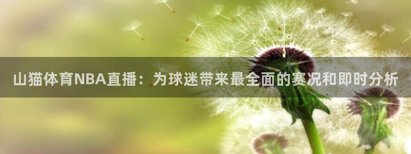 山猫体育NBA直播：为球迷带来最全面的赛况和即时分析